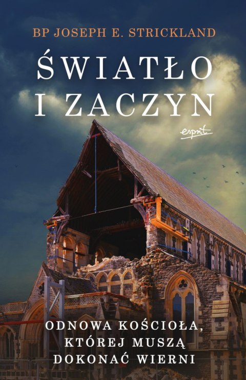 Światło i zaczyn. Odnowa Kościoła, której muszą dokonać wierni