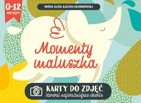 Momenty maluszka karty do zdjęć