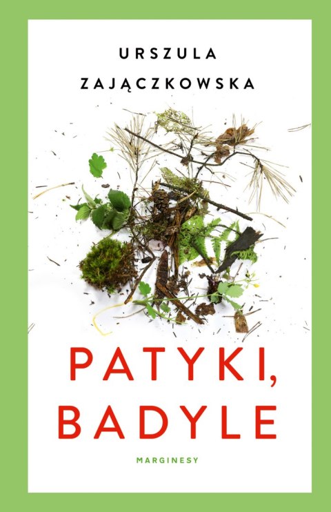 Patyki badyle