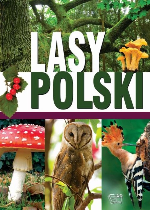 Lasy polskie