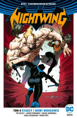 Starzy i nowi wrogowie Nightwing Tom 4