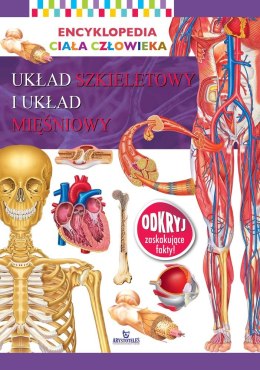 Układ szkieletowy i układ mięśniowy. Encyklopedia ciała człowieka