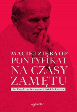 Pontyfikat na czasy zamętu. Jan Paweł II wobec wyzwań Kościoła i świata