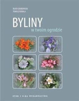 Byliny w twoim ogrodzie