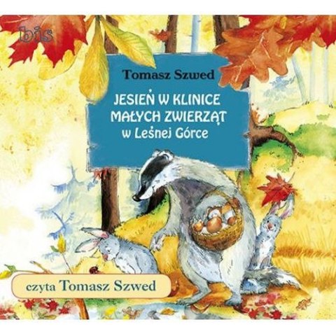 CD MP3 Jesień w klinice małych zwierząt w Leśnej Górce