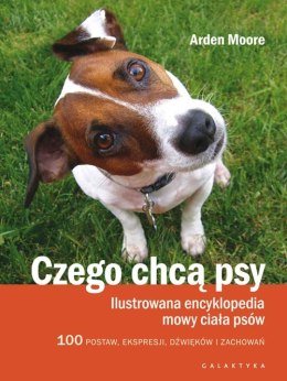 Czego chcą psy ilustrowana encyklopedia mowy ciała psów 100 pozycji wyrazów pyska dźwięków i zachowań