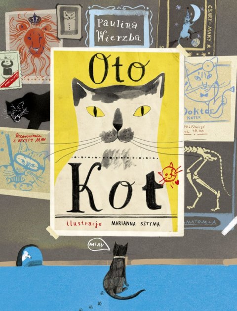 Oto kot