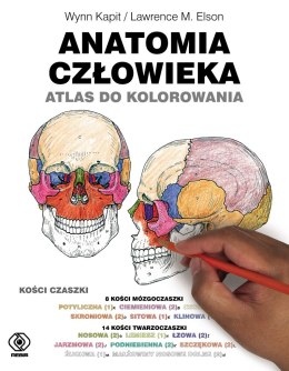 Anatomia człowieka atlas do kolorowania