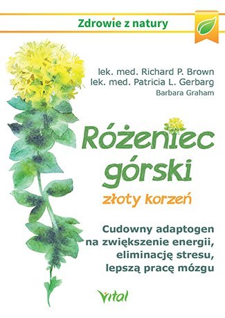 Różeniec górski złoty korzeń cudowny adaptogen na zwiększenie energii eliminację stresu lepszą pracę mózgu i wiele innych