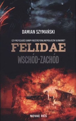 Felidae wschód-zachód