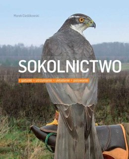 Sokolnictwo gatunki utrzymanie układanie polowanie wyd. 2