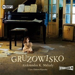 CD MP3 Gruzowisko