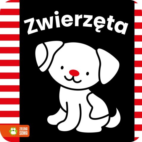 Zwierzęta. Książki kontrastowe