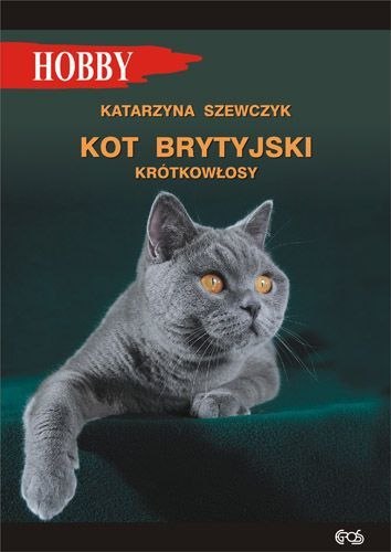 Kot brytyjski krótkowłosy wyd. 3