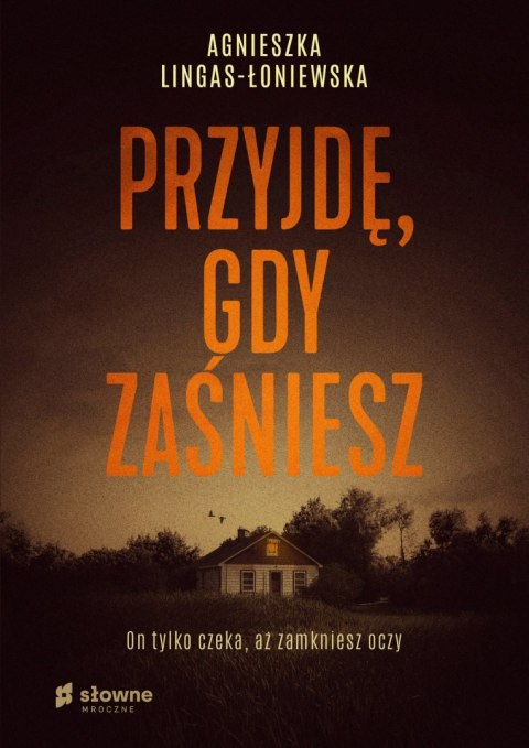 Przyjdę, gdy zaśniesz