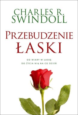 Przebudzenie łaski. Od wiary w łaskę do życia nią na co dzień