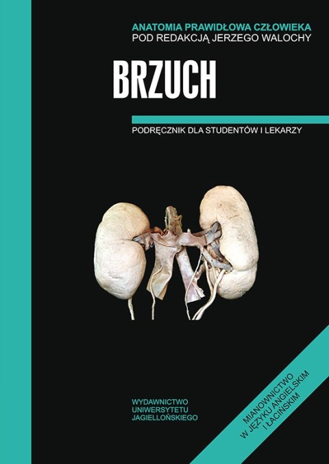 Anatomia prawidłowa człowieka. Brzuch. Podręcznik dla studentów i lekarzy