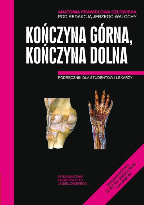 Anatomia prawidłowa człowieka kończyna górna kończyna dolna podręcznik dla studentów i lekarzy