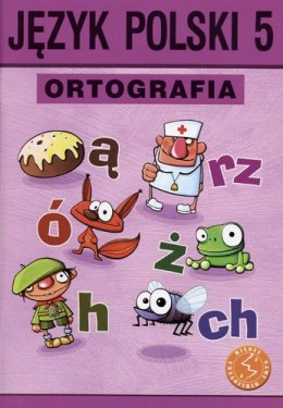 Język polski ortografia dla kalsy 5 zasady i ćwiczenia