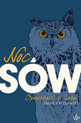 Noc sów