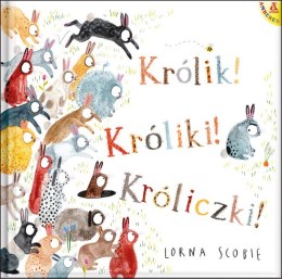 Królik! Króliki! Króliczki!