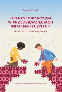 Luka informacyjna w przedsięwzięciach informatycznych. Problemy i rozwiązania