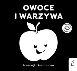 Owoce i warzywa. Oko malucha. Harmonijki kontrastowe