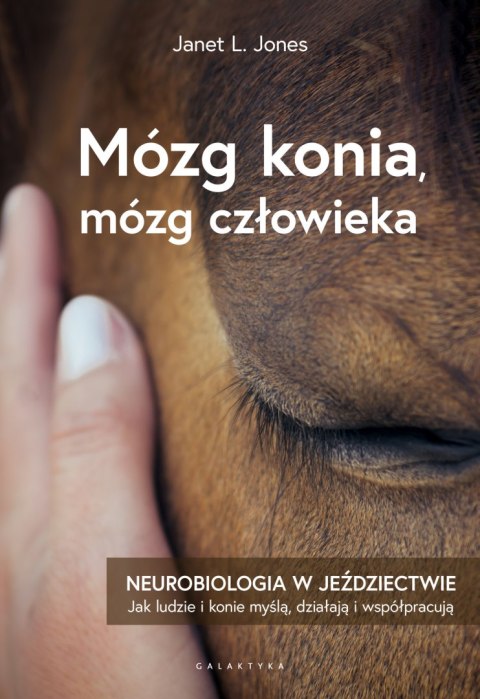 Mózg konia, mózg człowieka. Neurobiologia w jeździectwie