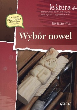 Wybór nowel. Lektura z opracowaniem