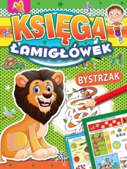 Księga łamigłówek bystrzak