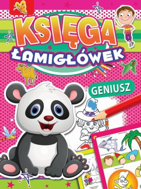 Księga łamigłówek geniusz