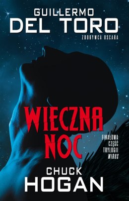 Wieczna noc