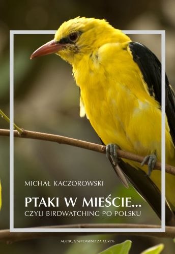 Ptaki w mieście czyli birdwatching po polsku