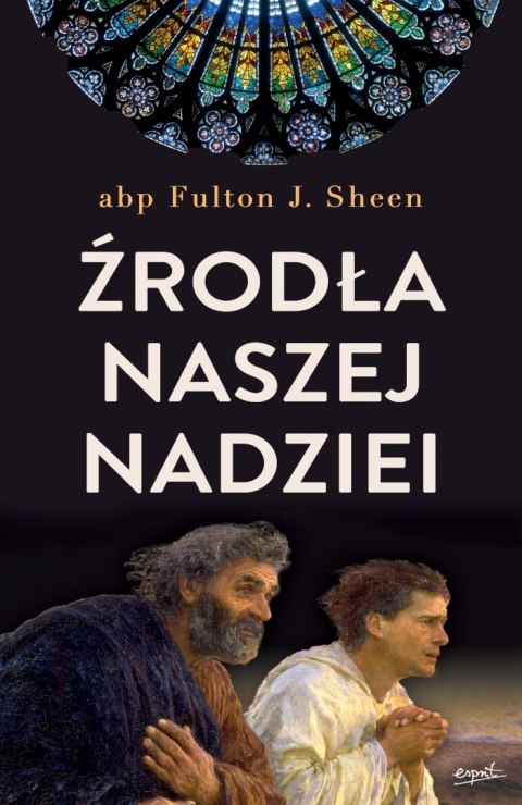 Źródła naszej nadziei nieprzemijające słowa pociechy i ufności