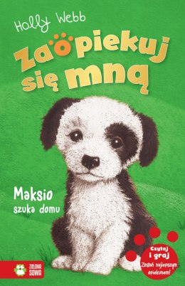 Maksio szuka domu. Zaopiekuj się mną