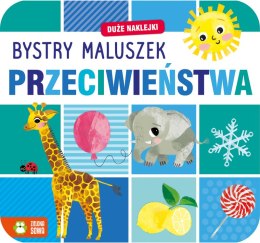 Przeciwieństwa. Bystry maluszek