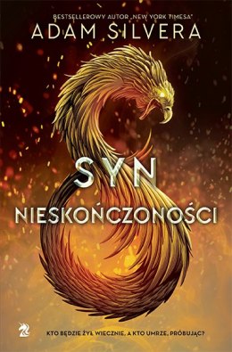 Syn nieskończoności. Krąg Nieskończoności. Tom 1