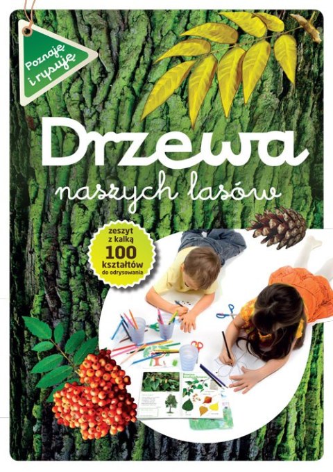 Drzewa naszych lasów wyd. 2021