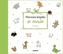 Chłopiec. Pierwsza książka o mnie