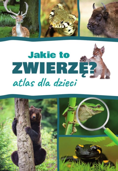 Jakie to zwierzę? Atlas dla dzieci