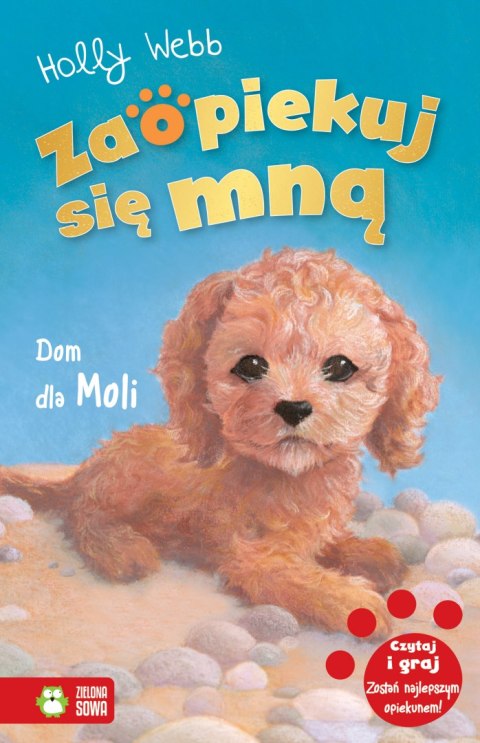 Dom dla Moli. Zaopiekuj się mną Dom dla Moli. Zaopiekuj się mną