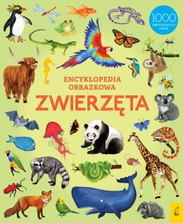 Encyklopedia obrazkowa. Zwierzęta