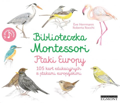 Ptaki Europy. Biblioteczka Montessori