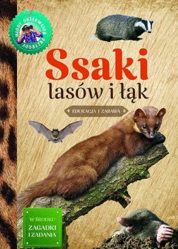 Ssaki lasów i łąk. Młody obserwator przyrody wyd. 3