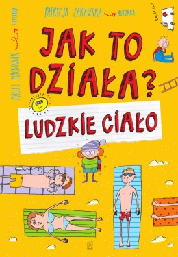 Ludzkie ciało. Jak to działa?