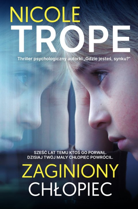Zaginiony chłopiec Zaginiony chłopiec
