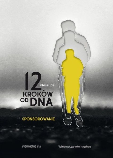 12 kroków od dna sponsorowanie wyd. 2