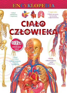 Ciało człowieka encyklopedia