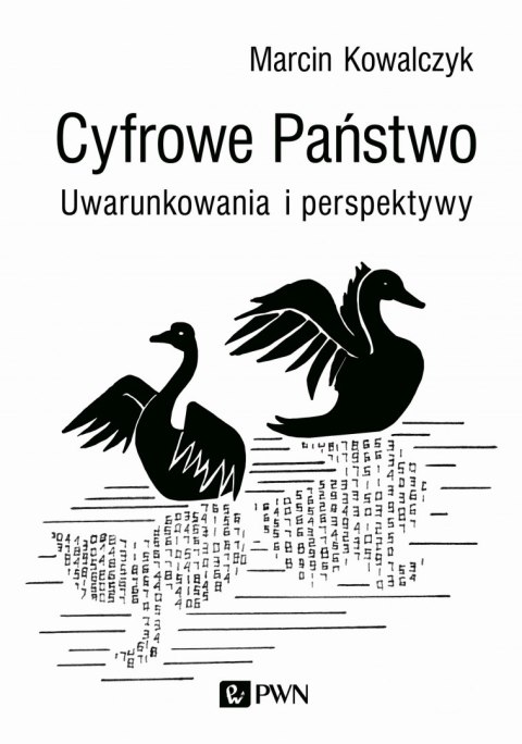 Cyfrowe państwo uwarunkowania i perspektywy