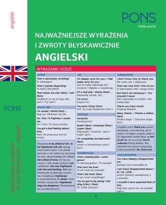 Najważniejsze wyrażenia i zwroty błyskawiczne zwroty Angielski